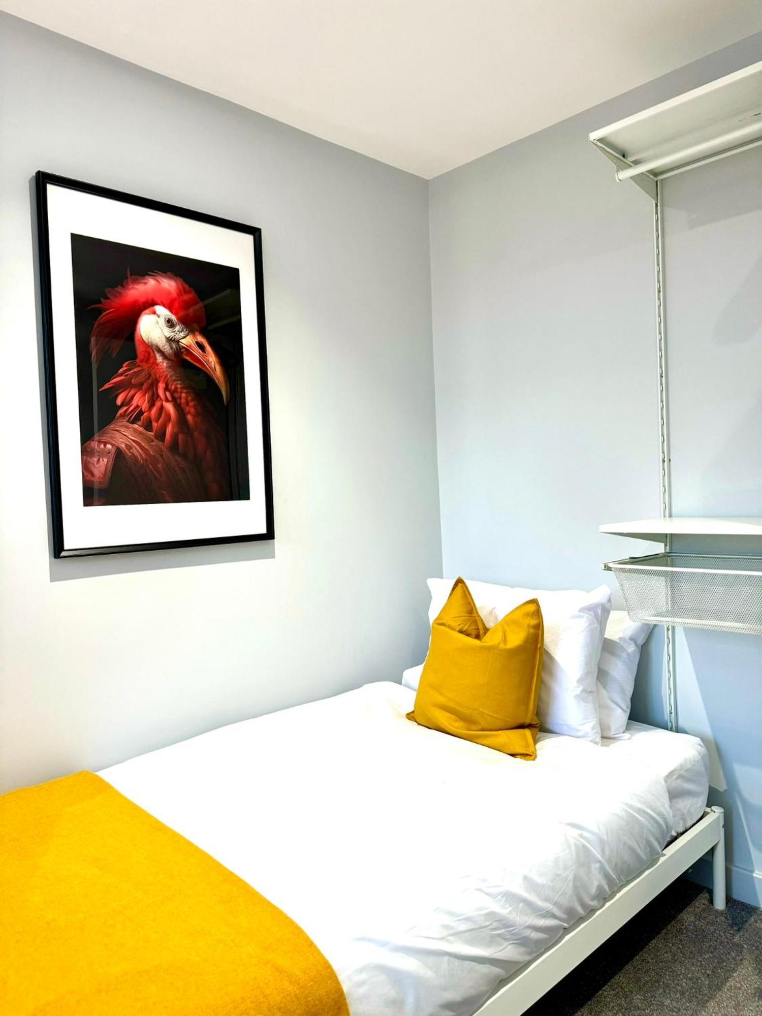 Amazing Large 3 Bedroom Apartment - Sleeps 8! ボーンマス エクステリア 写真